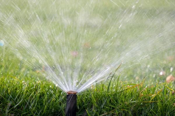 Local water mitigation services for quick damage restoration